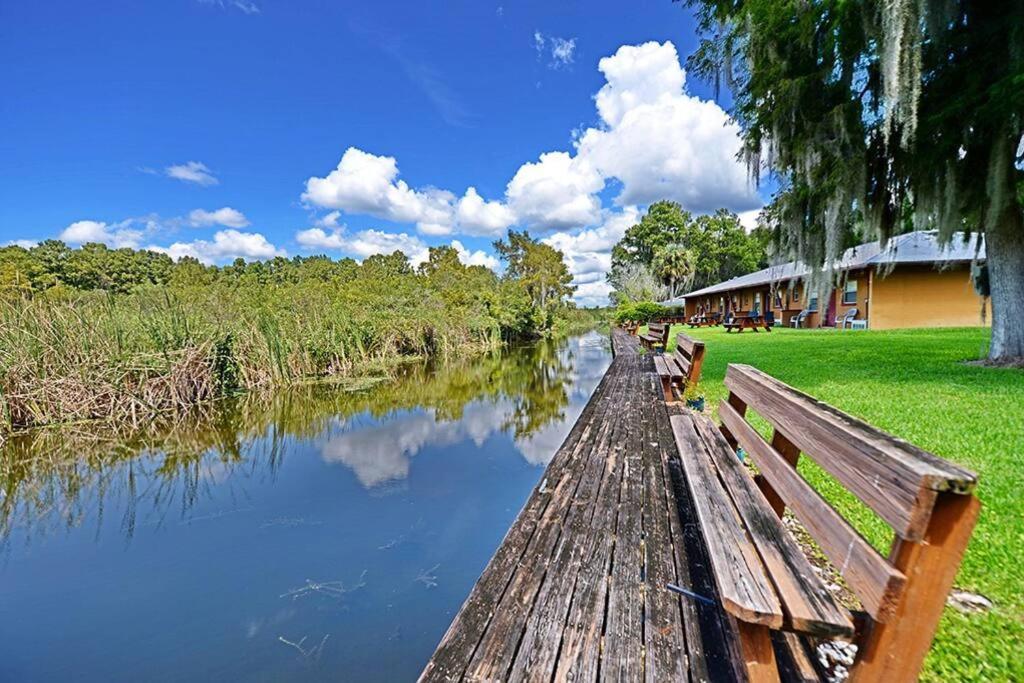 Professor Rousseau's Adventure Oasis Crystal River